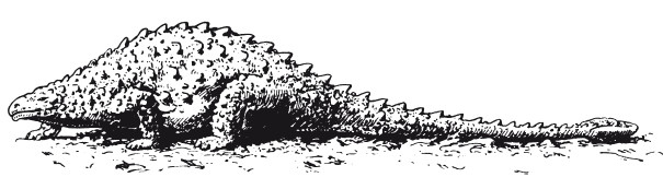 Иллюстрация к книге — Краткая история динозавров [i_125.jpg]