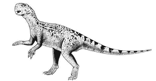 Иллюстрация к книге — Краткая история динозавров [i_126.jpg]