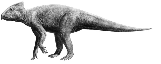 Иллюстрация к книге — Краткая история динозавров [i_131.jpg]