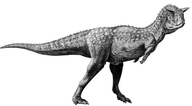 Иллюстрация к книге — Краткая история динозавров [i_133.jpg]