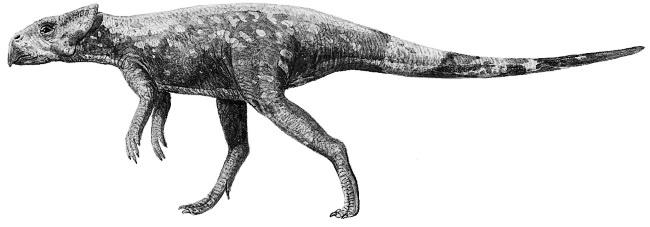 Иллюстрация к книге — Краткая история динозавров [i_135.jpg]