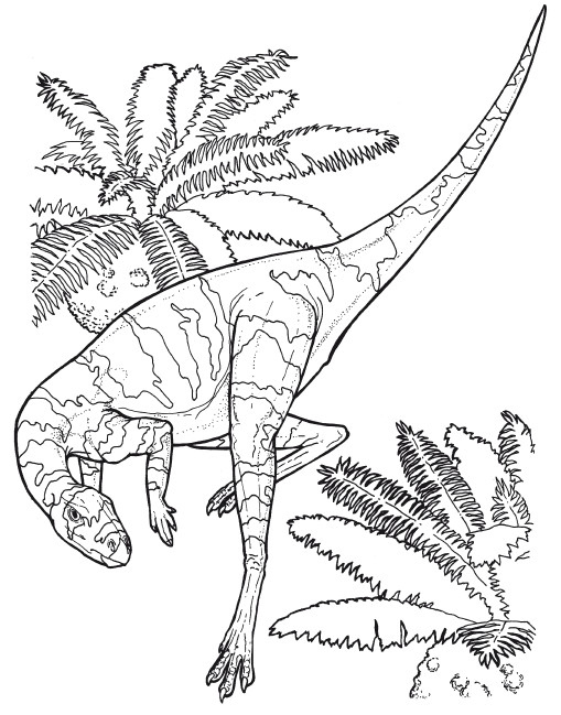 Иллюстрация к книге — Краткая история динозавров [i_138.jpg]