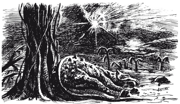 Иллюстрация к книге — Краткая история динозавров [i_142.jpg]