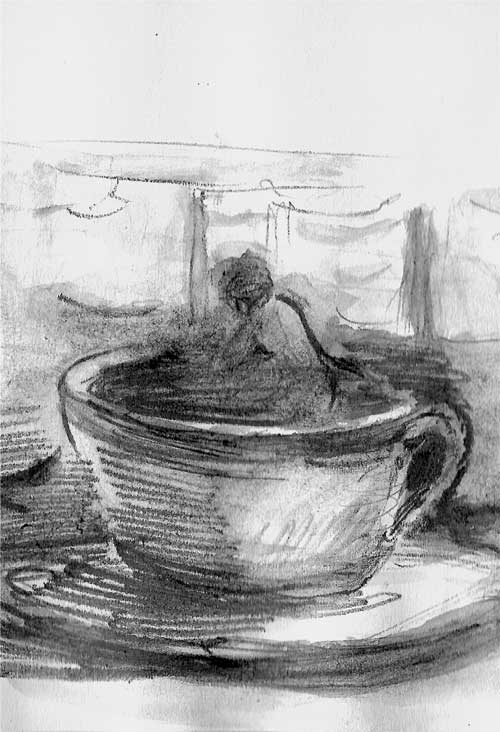 Иллюстрация к книге — Венеция. Карантинные хроники [i_004.jpg]