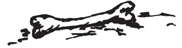 Иллюстрация к книге — Совершенно не обязательные смерти [b00000067.jpg]