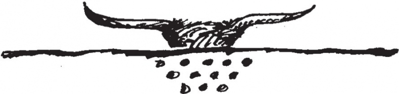 Иллюстрация к книге — Совершенно не обязательные смерти [b00001005.jpg]