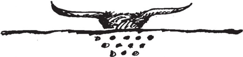 Иллюстрация к книге — Совершенно не обязательные смерти [b00003337.jpg]