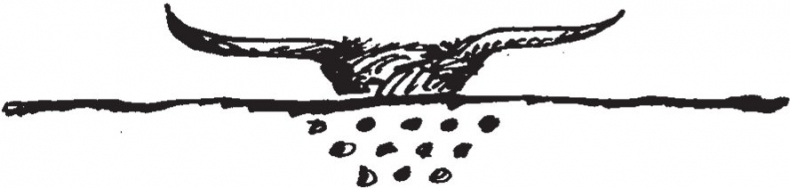 Иллюстрация к книге — Совершенно не обязательные смерти [b00004394.jpg]