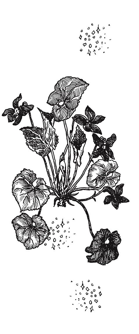 Иллюстрация к книге — Совершенно не обязательные смерти [img00d76915731a41baa2e33b5d2ba970a8.jpg]