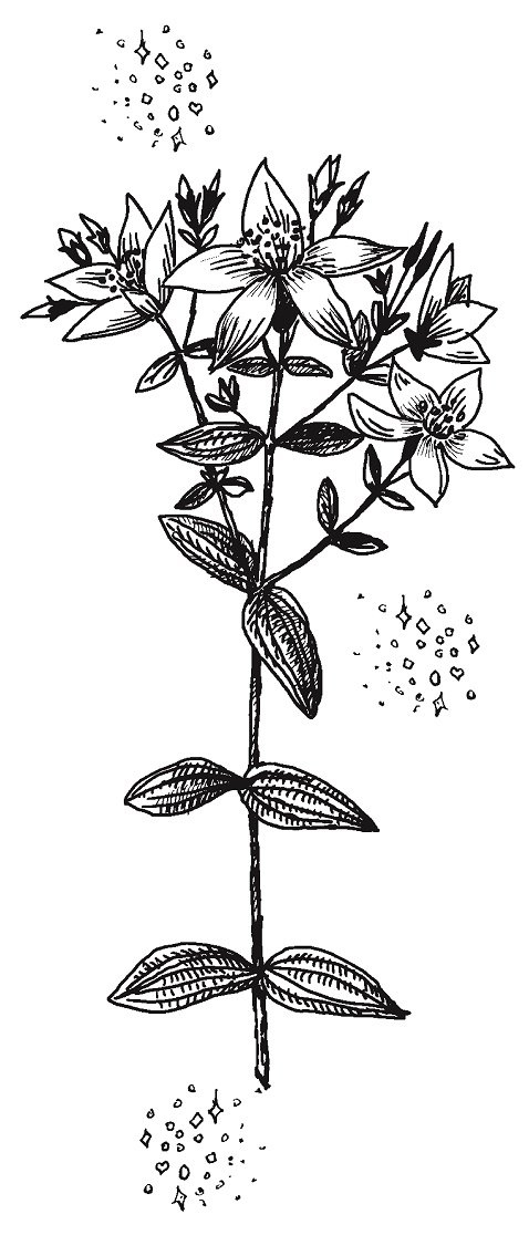 Иллюстрация к книге — Совершенно не обязательные смерти [img06997e4e5f004fdeb212901c4f140972.jpg]