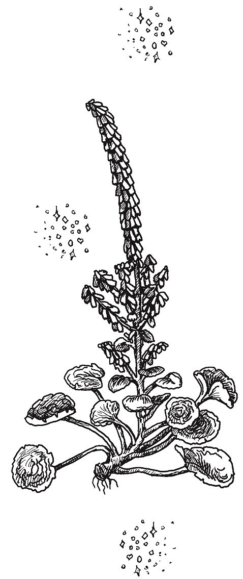 Иллюстрация к книге — Совершенно не обязательные смерти [img07c31359c0a842d3904ba88bf45a7dfb.jpg]