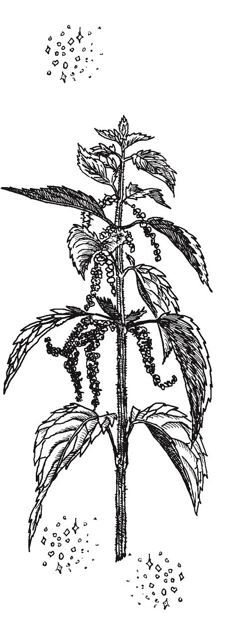 Иллюстрация к книге — Совершенно не обязательные смерти [img187ac0254f234f46bb4a30b33a445914.jpg]