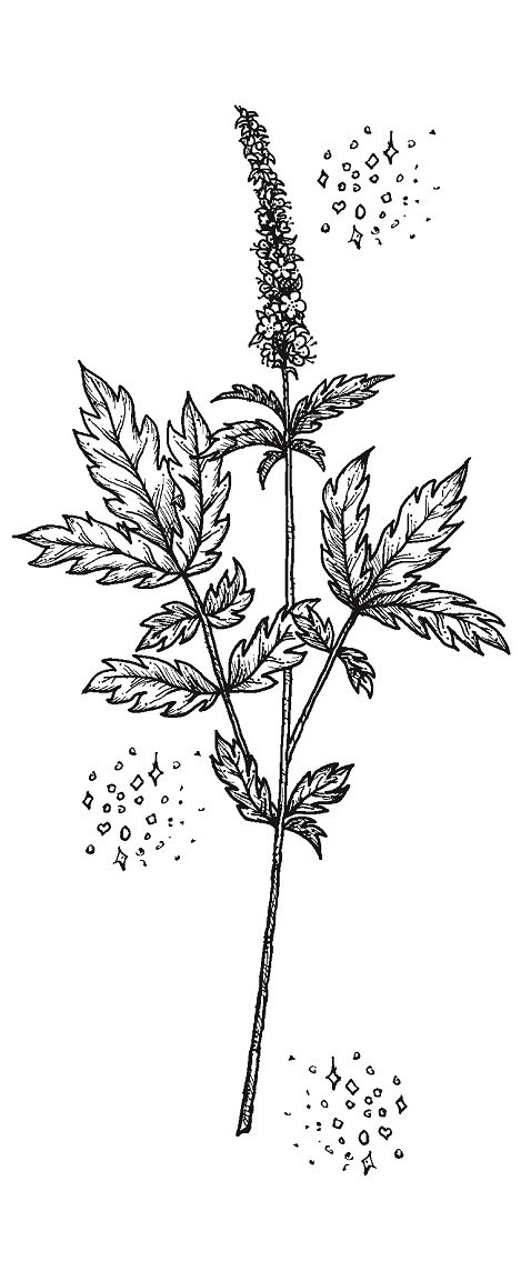 Иллюстрация к книге — Совершенно не обязательные смерти [img189ae6d2d7204c3ca8758eb5289a3a81.jpg]