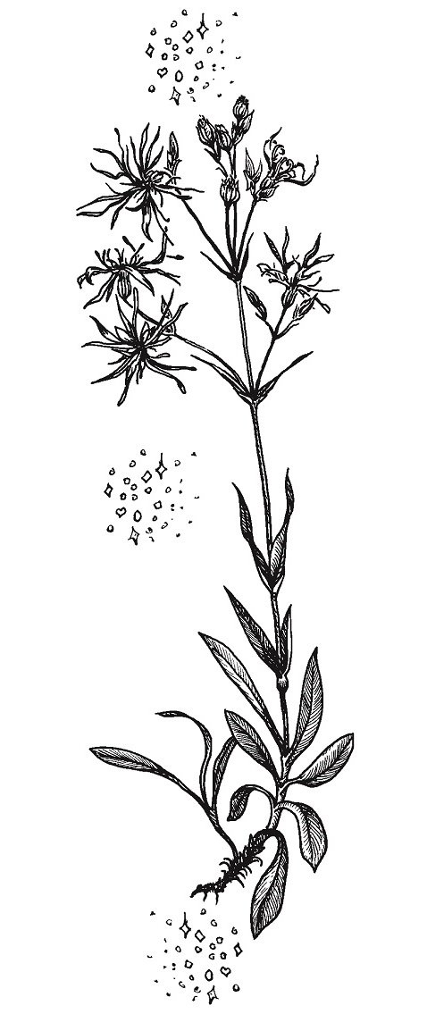 Иллюстрация к книге — Совершенно не обязательные смерти [img1ed2961f19e74d5e9144618c9536800a.jpg]