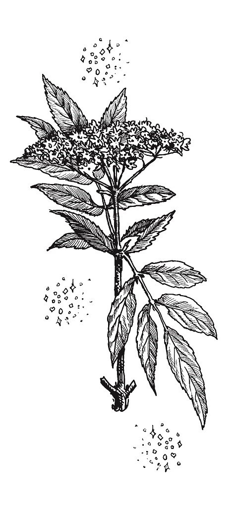 Иллюстрация к книге — Совершенно не обязательные смерти [img24c876c5e9f1476994599fbdf8d75a38.jpg]