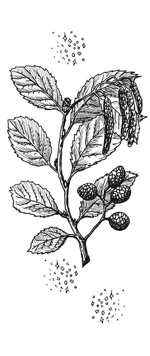 Иллюстрация к книге — Совершенно не обязательные смерти [img29887b33a649440ca235054395def74d.jpg]