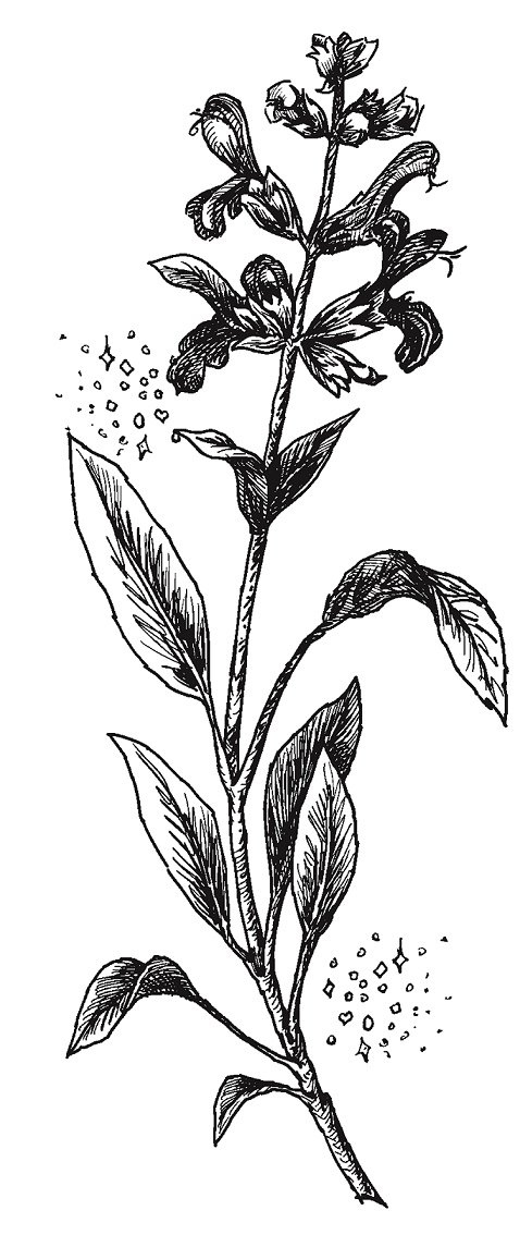 Иллюстрация к книге — Совершенно не обязательные смерти [img29ef275fba3f4939b18efa0d5e888eab.jpg]