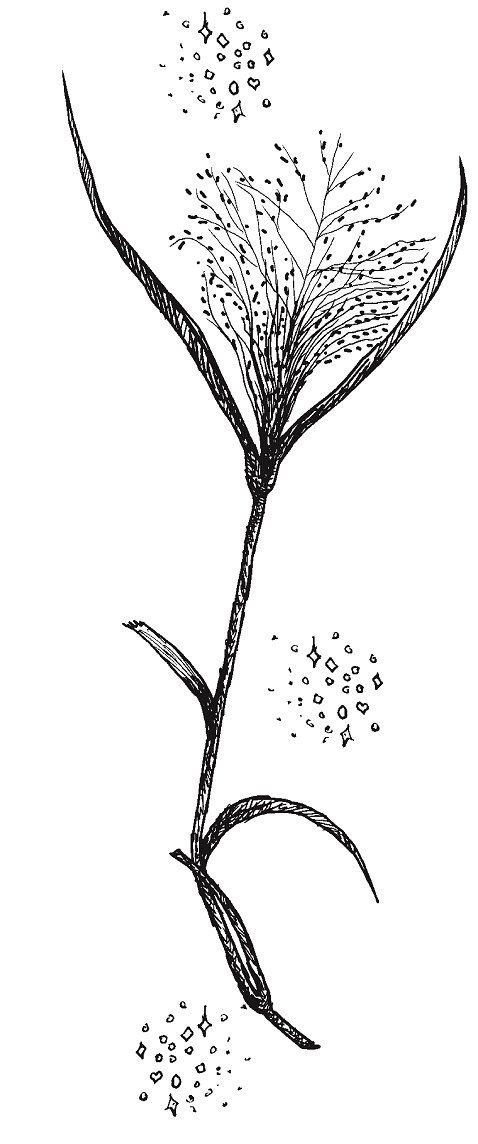 Иллюстрация к книге — Совершенно не обязательные смерти [img2c880740c1c445d7bf04a82ca3f6b8e5.jpg]