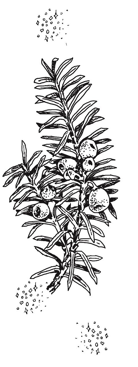 Иллюстрация к книге — Совершенно не обязательные смерти [img4af46db8d5d243b4a93aae7606692ffd.jpg]