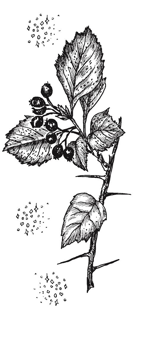 Иллюстрация к книге — Совершенно не обязательные смерти [img500e7d9b13a847e1b4b21b17325362f8.jpg]