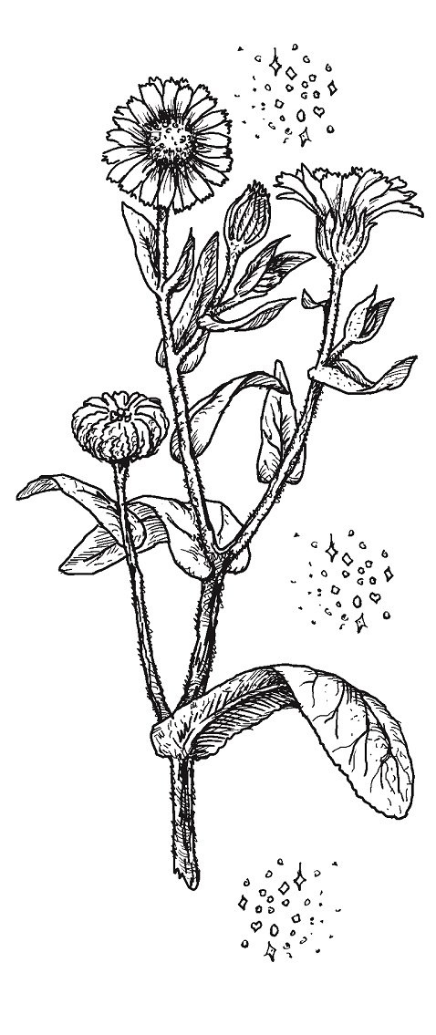 Иллюстрация к книге — Совершенно не обязательные смерти [img516a8d8d12af49c89a7430084107bb7f.jpg]