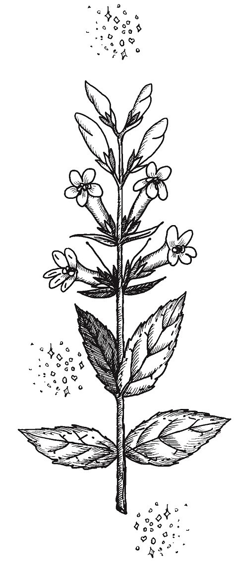 Иллюстрация к книге — Совершенно не обязательные смерти [img53220d0569924dbb805dec8149fd6bfa.jpg]