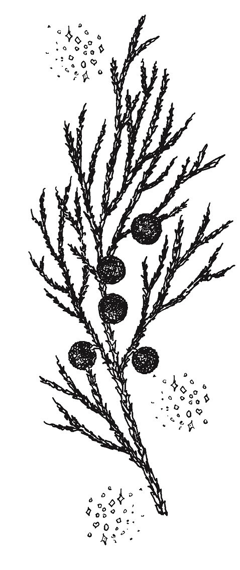 Иллюстрация к книге — Совершенно не обязательные смерти [img603598a149a544ad95c8442b1f1732f4.jpg]