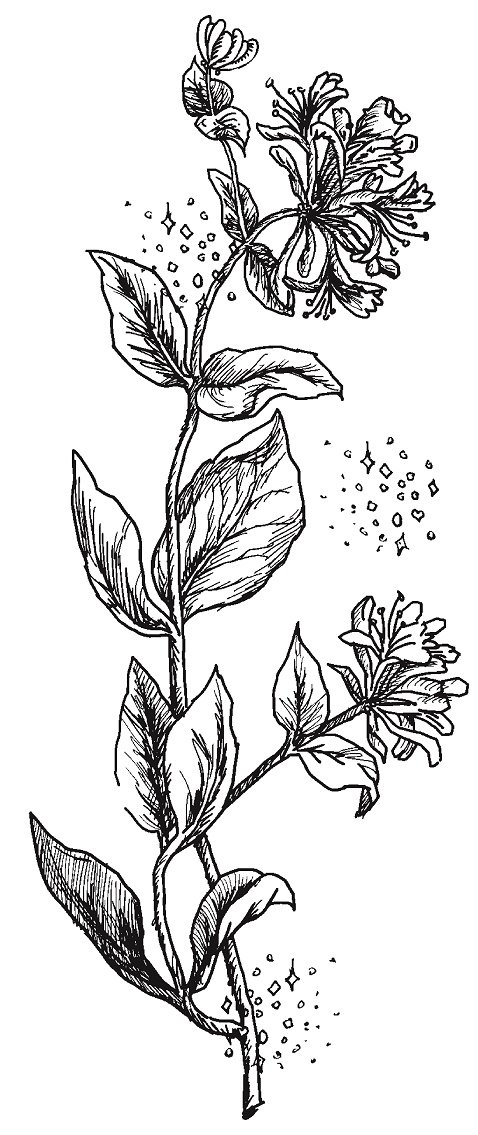 Иллюстрация к книге — Совершенно не обязательные смерти [img68aa74a8b0f348cea85794478a1bea35.jpg]