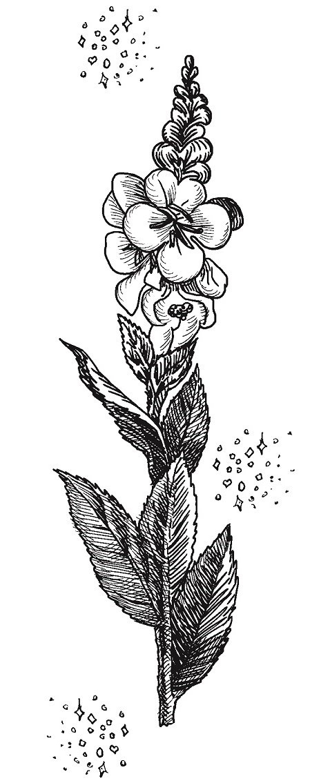 Иллюстрация к книге — Совершенно не обязательные смерти [img79fe7caf4ca94e9c816a8390e5ecbf3e.jpg]