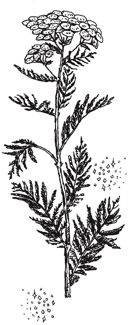 Иллюстрация к книге — Совершенно не обязательные смерти [img91c2e59adb3443f8b70c817efd6a0e6e.jpg]