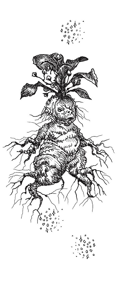 Иллюстрация к книге — Совершенно не обязательные смерти [img95ae40d6b40e425d83c8442ca3f3ebe8.jpg]