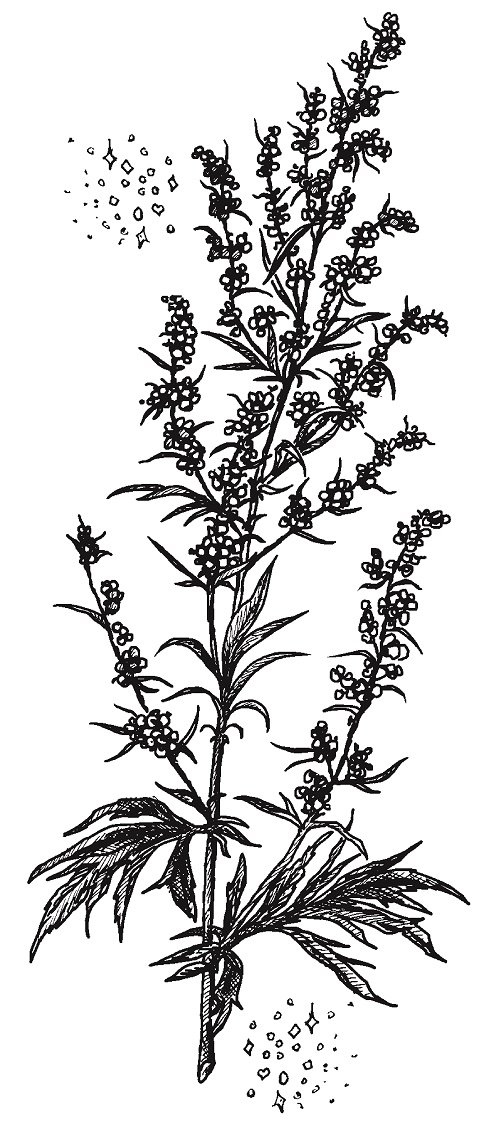 Иллюстрация к книге — Совершенно не обязательные смерти [img96f35485e1ed47549110d1435de45598.jpg]