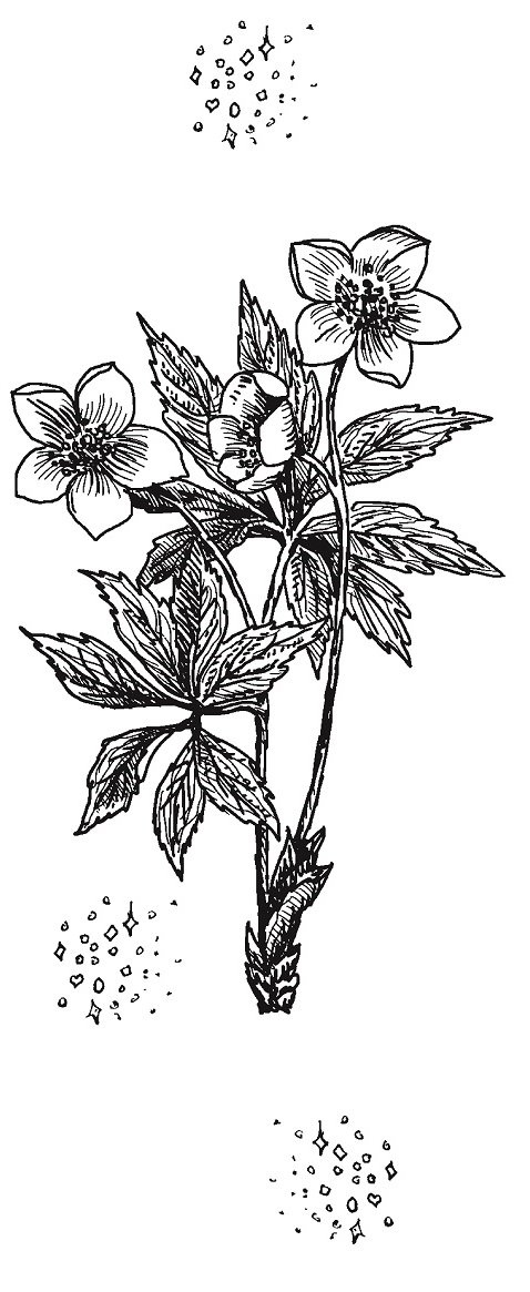 Иллюстрация к книге — Совершенно не обязательные смерти [imgb5588a9a25ca468d883cd76771e41dc2.jpg]