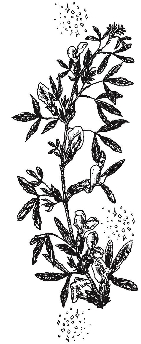 Иллюстрация к книге — Совершенно не обязательные смерти [imgb72c64e3c1e54e9896ca065a4bd7bd8d.jpg]