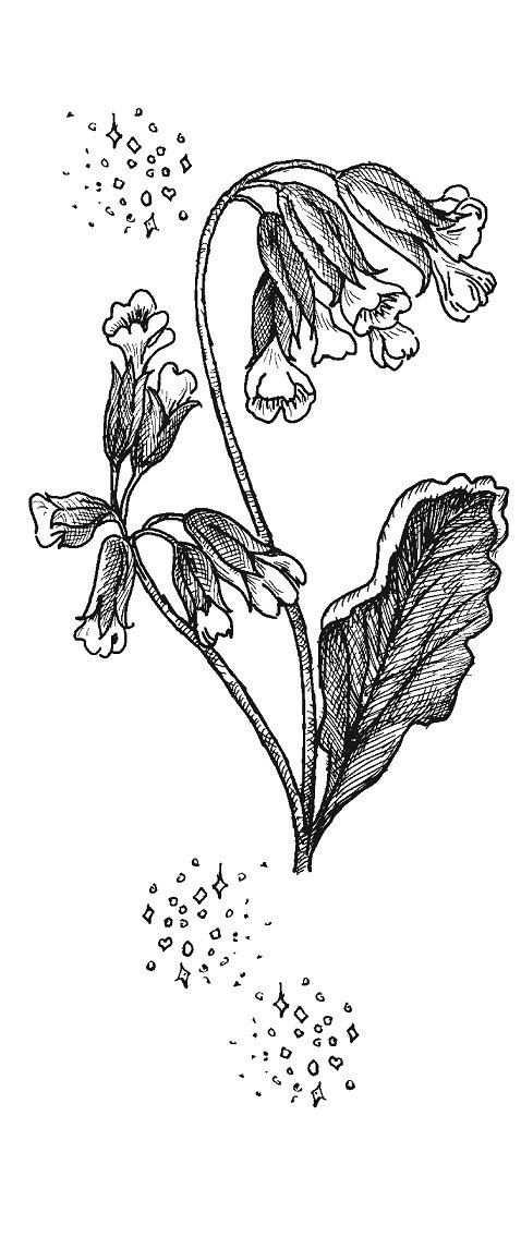 Иллюстрация к книге — Совершенно не обязательные смерти [imgc11d47b2119a45978dc9f7db58073924.jpg]