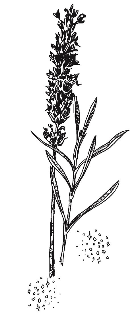 Иллюстрация к книге — Совершенно не обязательные смерти [imgc7cb3a7686dc4b779355d331a83d70f8.jpg]