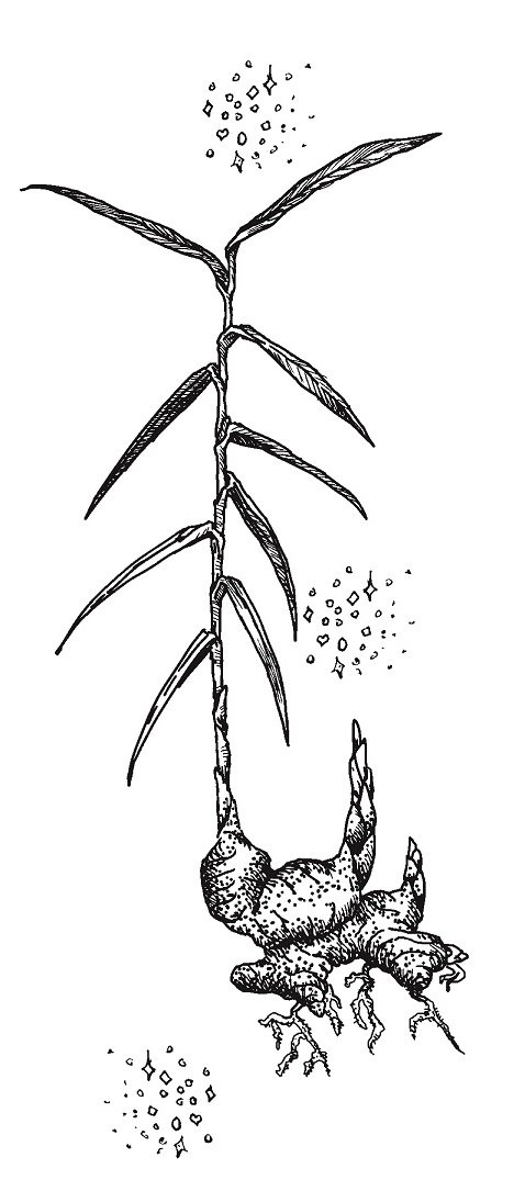 Иллюстрация к книге — Совершенно не обязательные смерти [imgd128446a11264e9d8524afac7e0ad4ec.jpg]