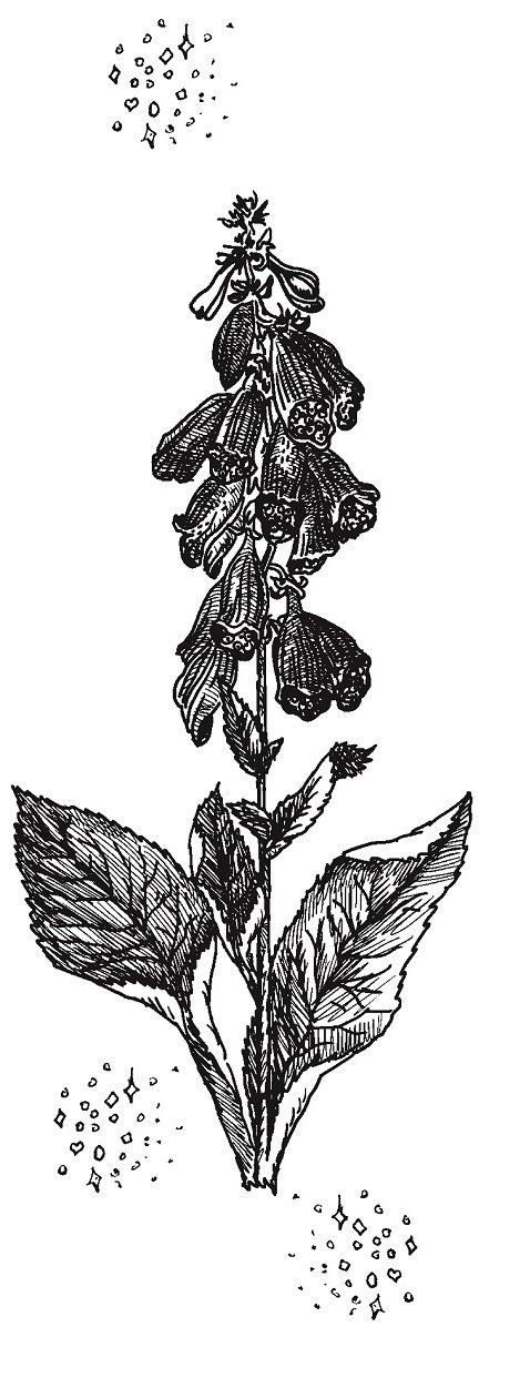 Иллюстрация к книге — Совершенно не обязательные смерти [imgd24bebe11afd43aba11b3d3cda67d5cd.jpg]