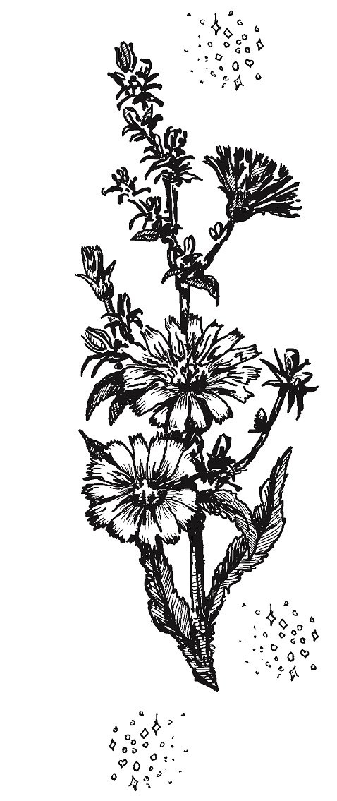 Иллюстрация к книге — Совершенно не обязательные смерти [imge592478cc856453eb821b8b52b57c578.jpg]