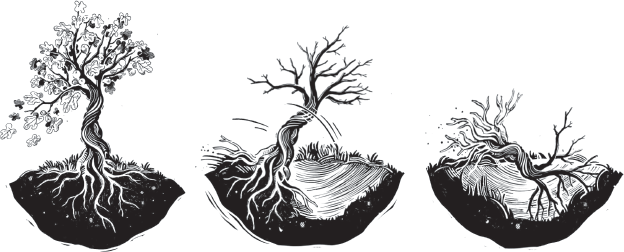 Иллюстрация к книге — Остров пропавших деревьев [i_001.jpg]