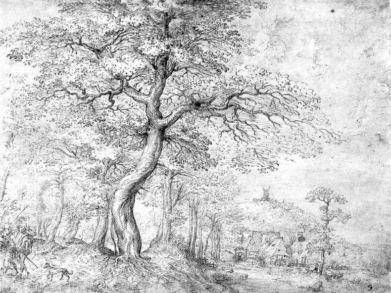 Иллюстрация к книге — 12 лучших художников Возрождения [i_123.jpg]