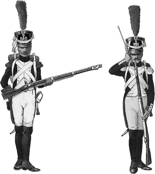 Иллюстрация к книге — Армия Наполеона [i_060.jpg]