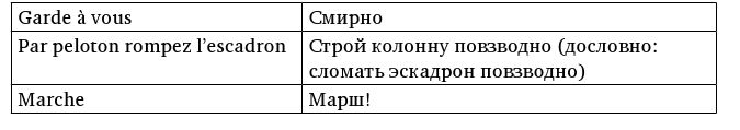 Иллюстрация к книге — Армия Наполеона [i_100.jpg]