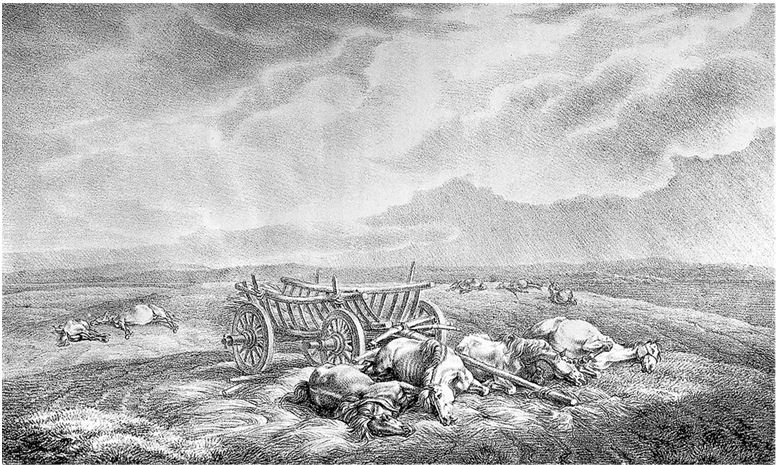 Иллюстрация к книге — Армия Наполеона [i_133.jpg]