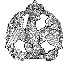 Иллюстрация к книге — Армия Наполеона [i_176.jpg]