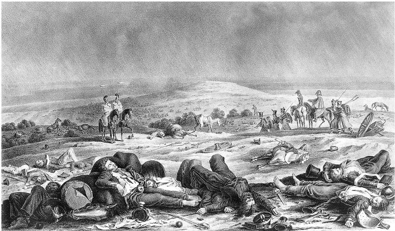 Иллюстрация к книге — Армия Наполеона [i_181.jpg]