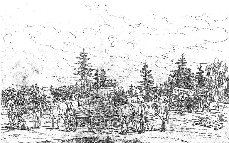 Иллюстрация к книге — Армия Наполеона [i_182.jpg]