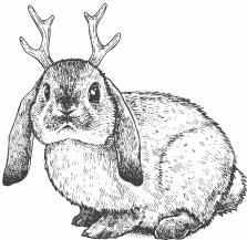 Иллюстрация к книге — В зоне риска. Тонкости защиты женского организма. Как ВПЧ проникает в наш организм, чем он опасен и что поможет избежать последствий [i_004.jpg]