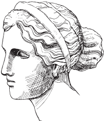 Иллюстрация к книге — В зоне риска. Тонкости защиты женского организма. Как ВПЧ проникает в наш организм, чем он опасен и что поможет избежать последствий [i_007.jpg]