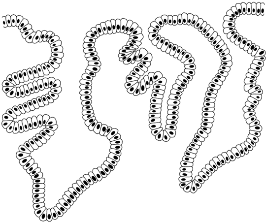 Иллюстрация к книге — В зоне риска. Тонкости защиты женского организма. Как ВПЧ проникает в наш организм, чем он опасен и что поможет избежать последствий [i_016.jpg]